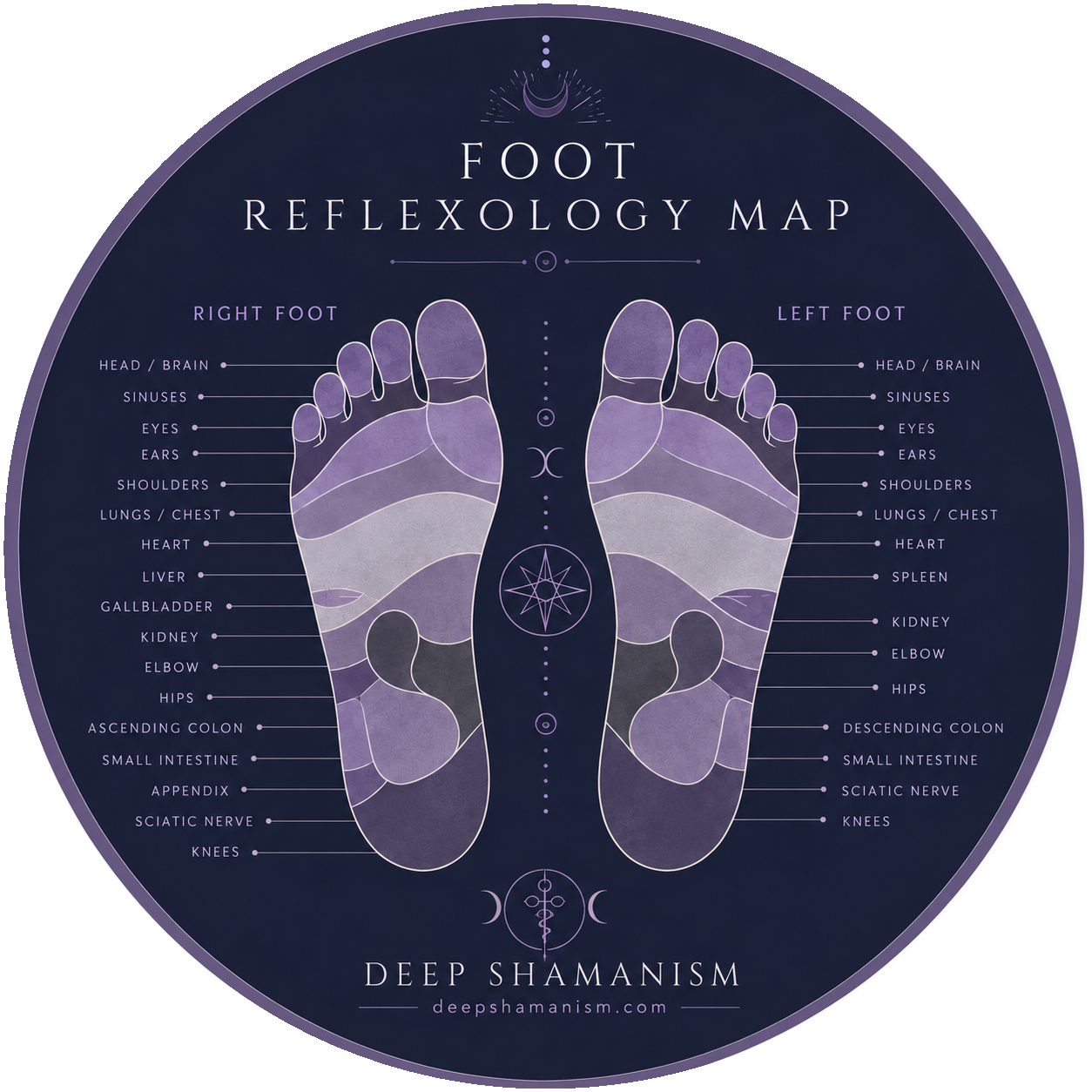 Foot reflexology map showing which area of each foot corresponds to which part of the body